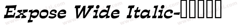 Expose Wide Italic字体转换